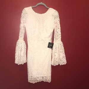Angelisa White Lace Long Sleeve Dress